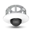 8175-PD-3.webp
