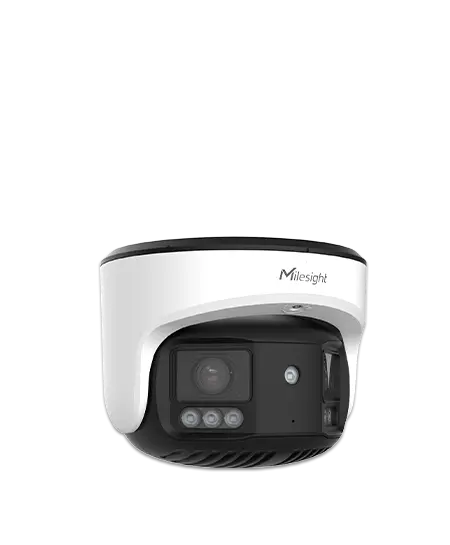 dual-sensor-panoramic-camera_Truecolor-3.webp